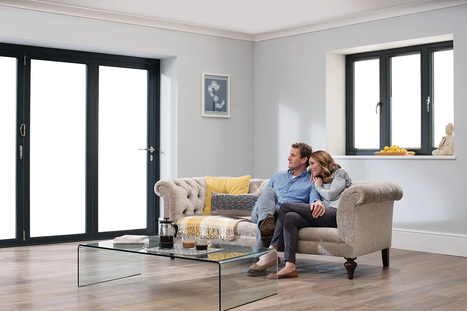 Origin aluminium glazing shown in a furnished living room