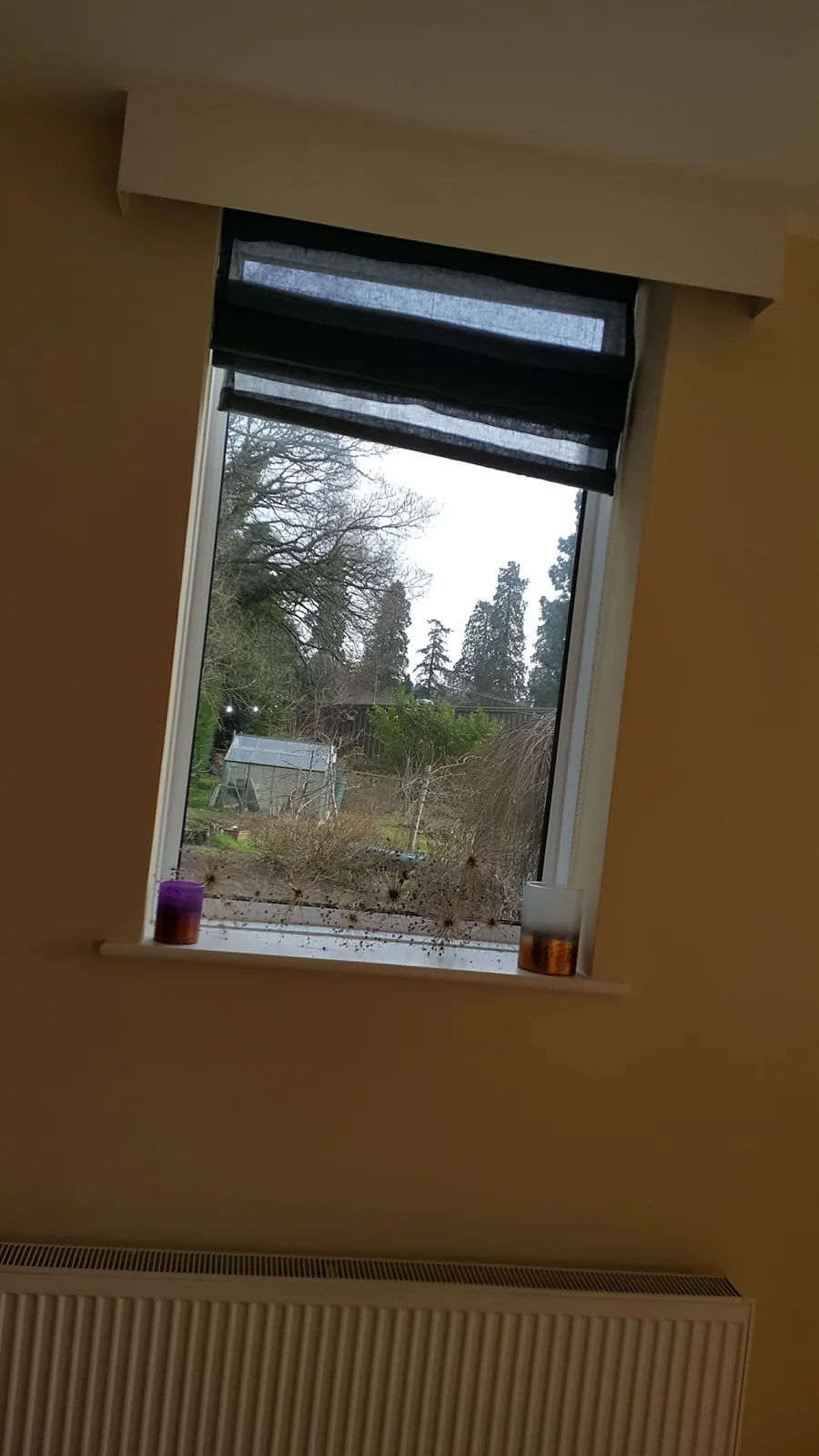 Single window and roller blind viewed from inside
