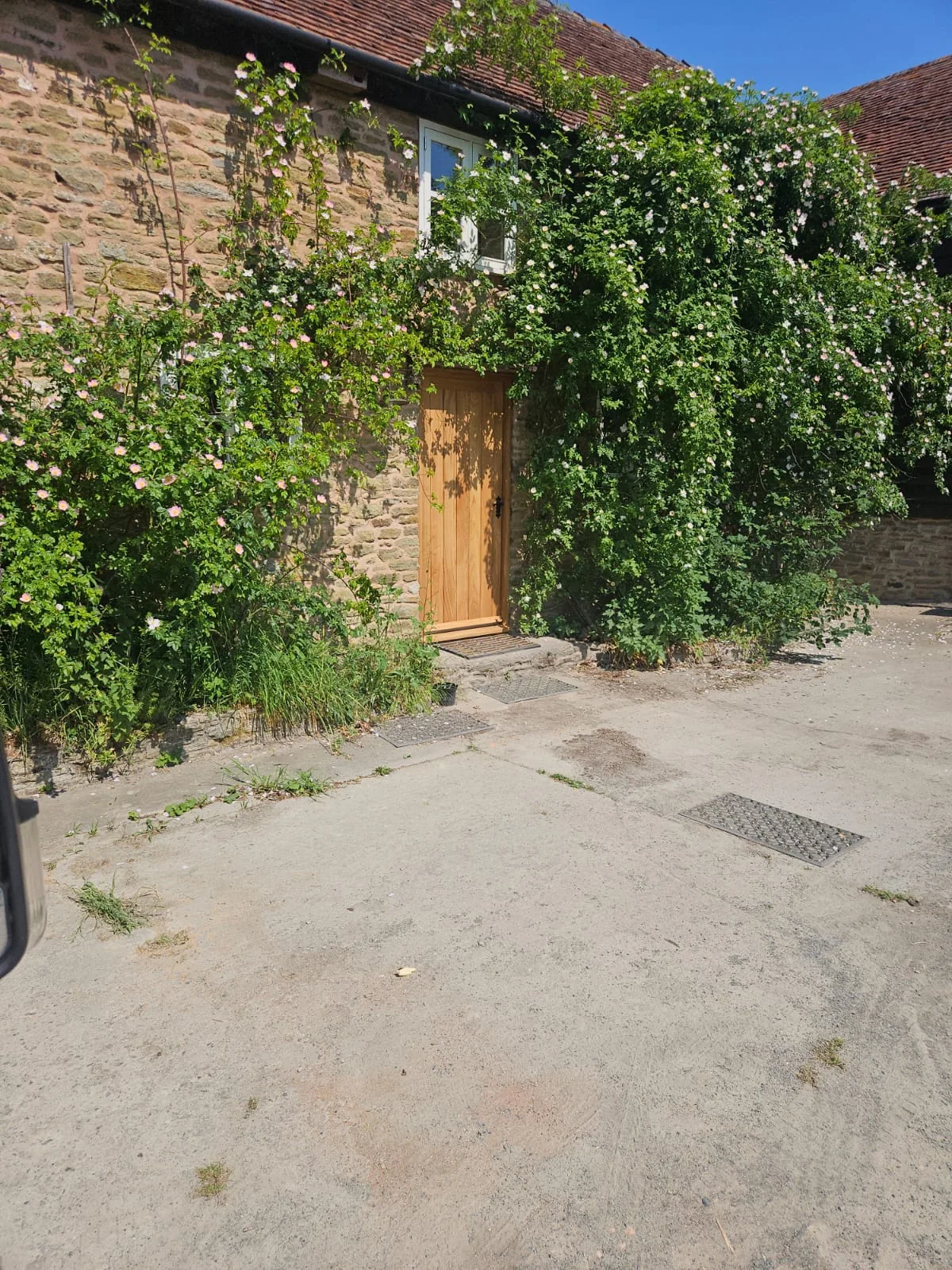 Timber entrance door in an ivy-covered stone building